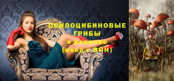 экстази Баксан